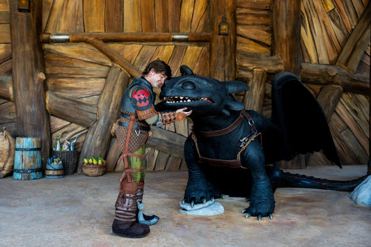 Meet Toothless & Hiccup at Epic Universe – Your Dragon-Training Dreams Are Coming True! 🐉🔥