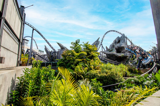 Universal Studios Florida 2027 Vacation Packages Just Dropped — Here's Everything You Need to Know!